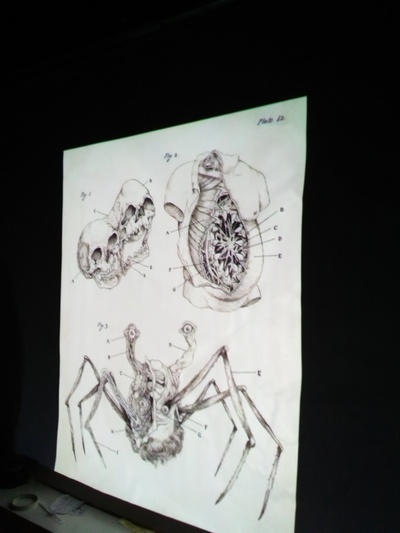 怪形剧照的剧照