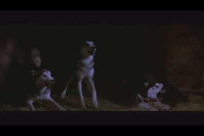 怪形剧照的剧照