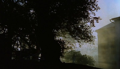 呼喊与细语剧照的剧照