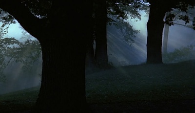 呼喊与细语剧照的剧照