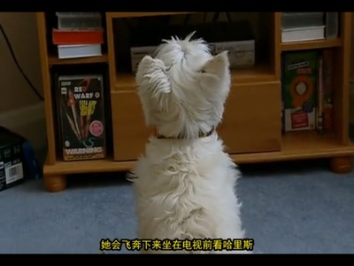 人生七年7剧照的剧照