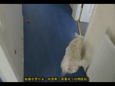 人生七年7剧照的剧照