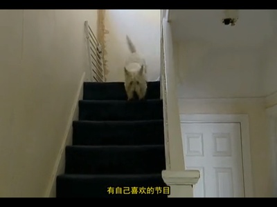 人生七年7剧照的剧照