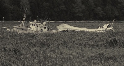 悄然之星剧照的剧照