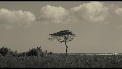 悄然之星剧照的剧照