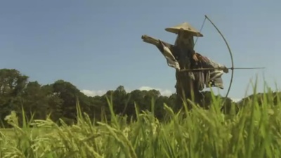 蝉时雨剧照的剧照