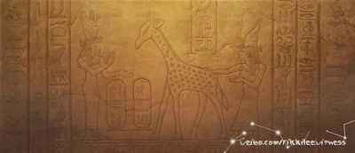 长颈鹿扎拉法剧照的剧照