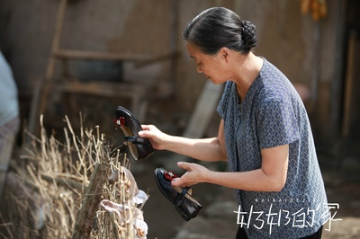 奶奶的家剧照的剧照