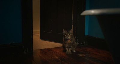 本杰明剧照的剧照