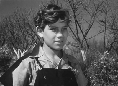 被遗忘的人们剧照的剧照