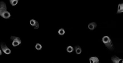 水滴剧照的剧照