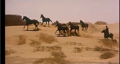 双旗镇刀客剧照的剧照