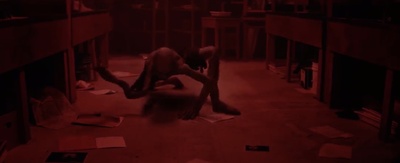 拍栗得剧照的剧照