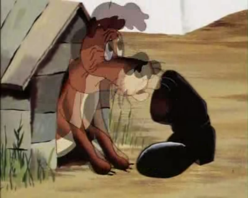 老狗的故事剧照的剧照