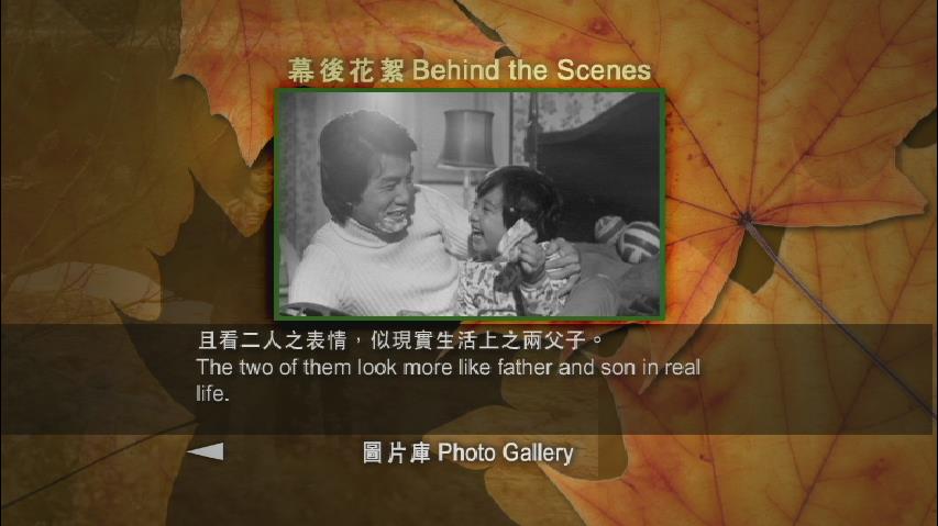 小楼残梦剧照的剧照