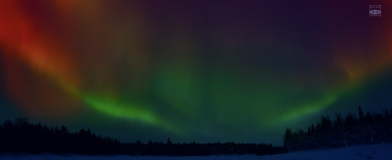 雪之华剧照的剧照