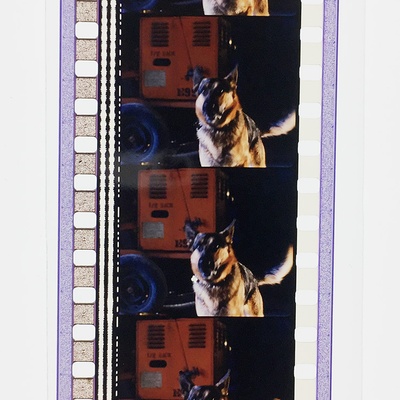 笨贼妙探剧照的剧照