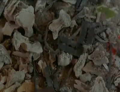 恶魔的艺术剧照的剧照