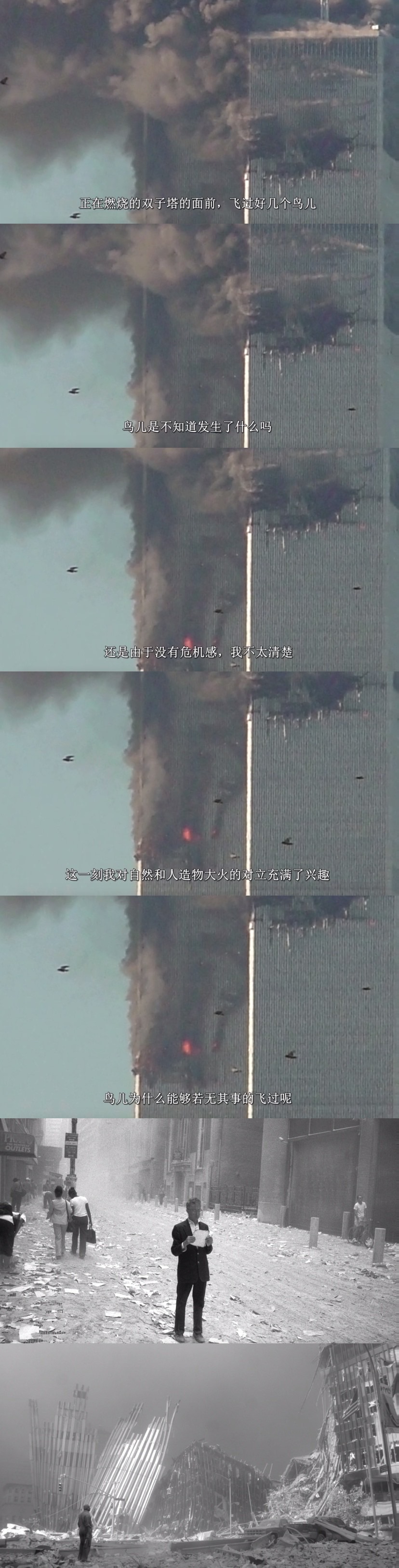 坂本龙一：终曲剧照的剧照