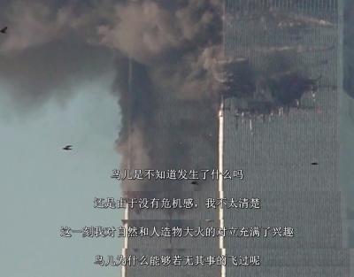 坂本龙一：终曲剧照的剧照