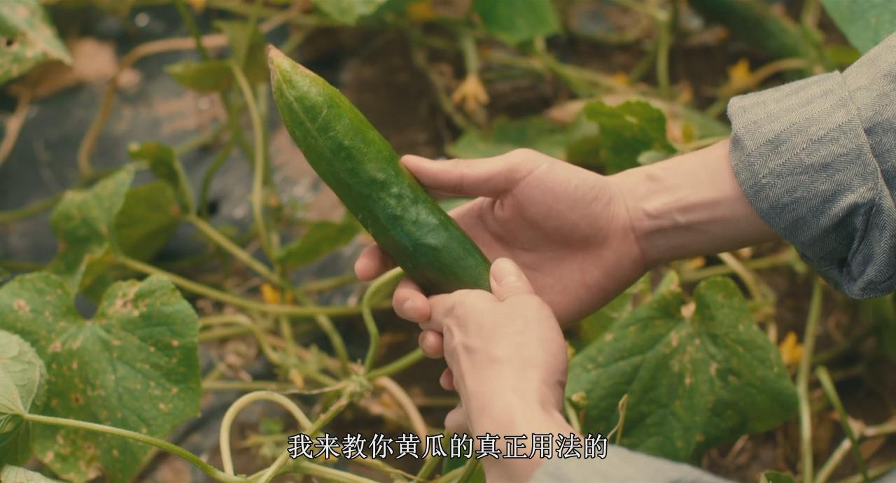 苦中带甜的滋味剧照的剧照