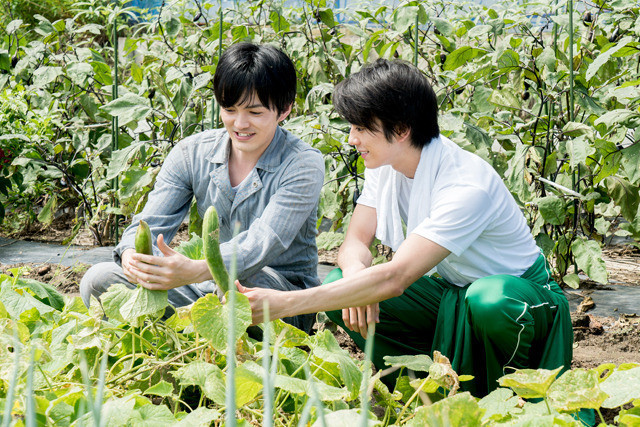 苦中带甜的滋味剧照的剧照