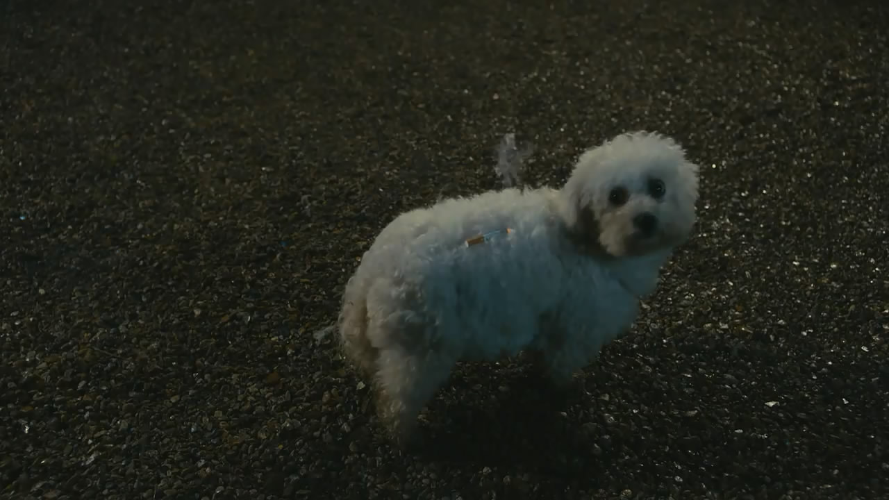 借口.com剧照的剧照