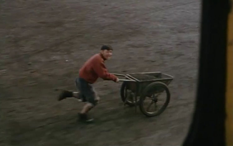 长大成人剧照的剧照