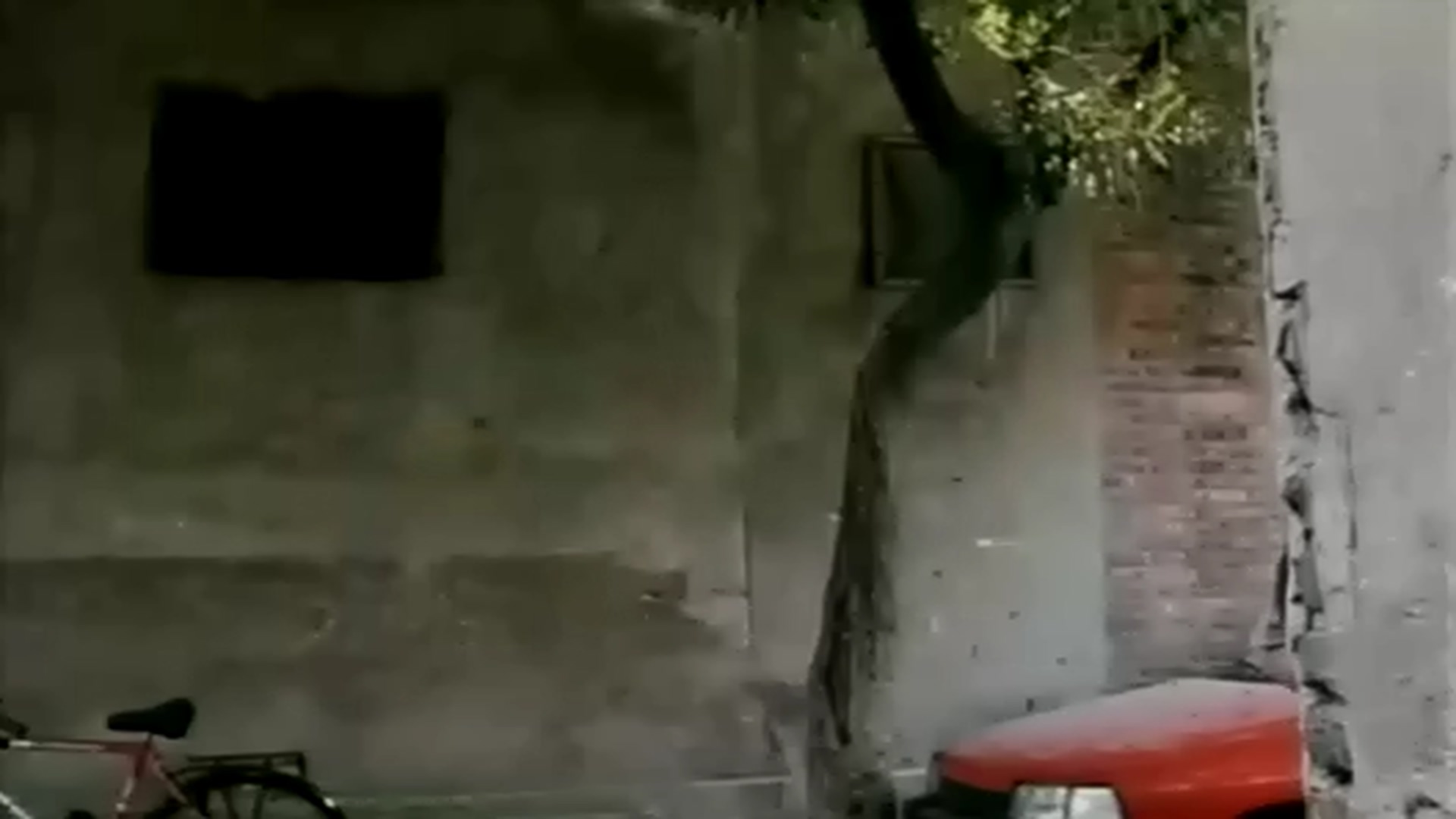 长大成人剧照的剧照