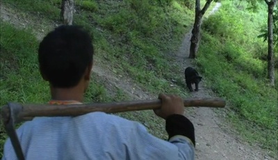 碧罗雪山剧照的剧照