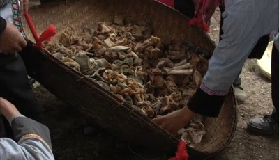 碧罗雪山剧照的剧照