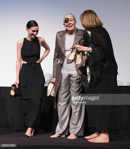 秘密手稿剧照的剧照