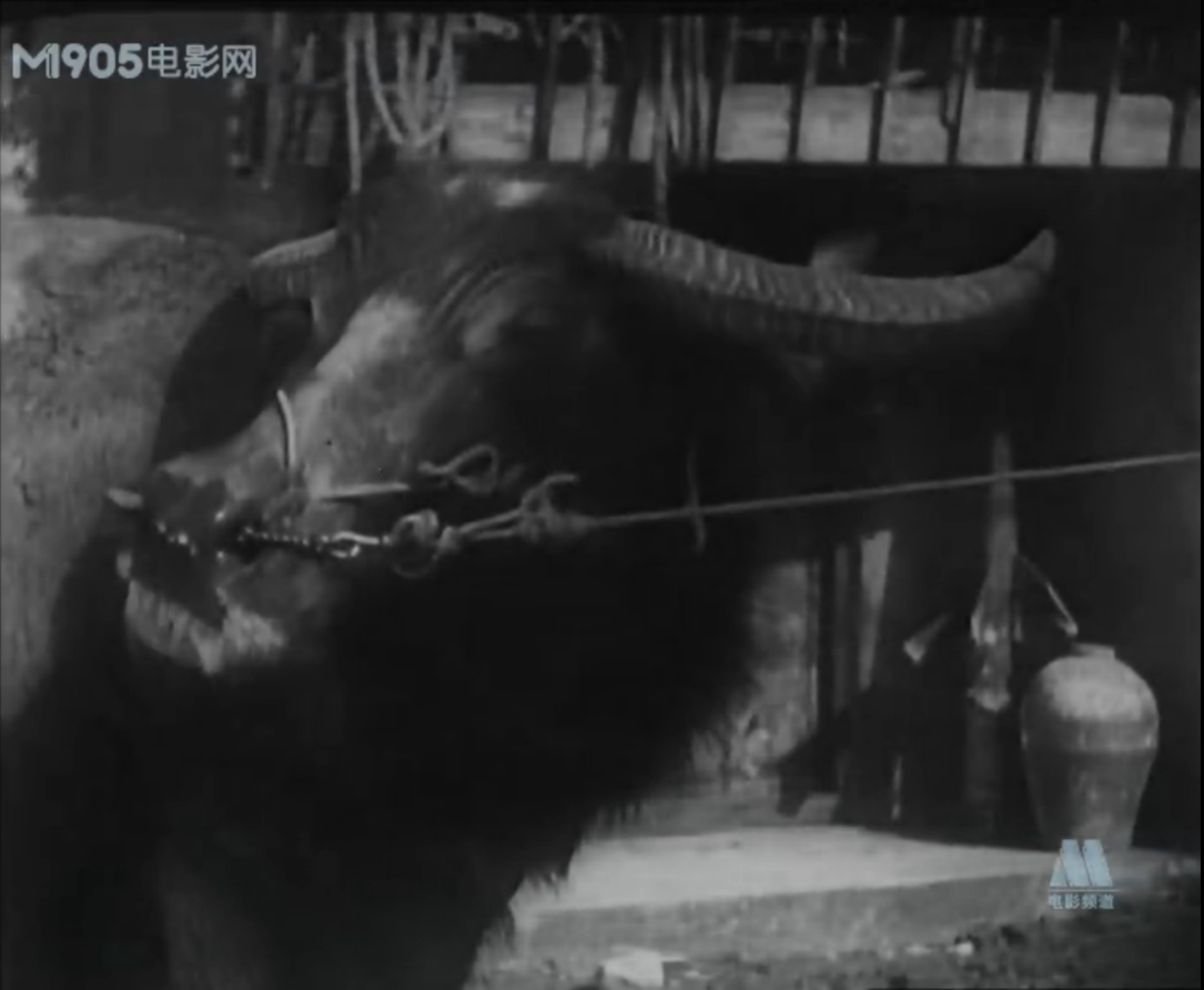 一江春水向东流剧照的剧照