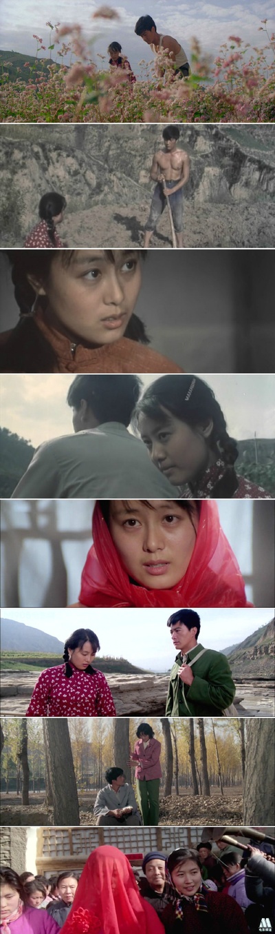 人生剧照的剧照