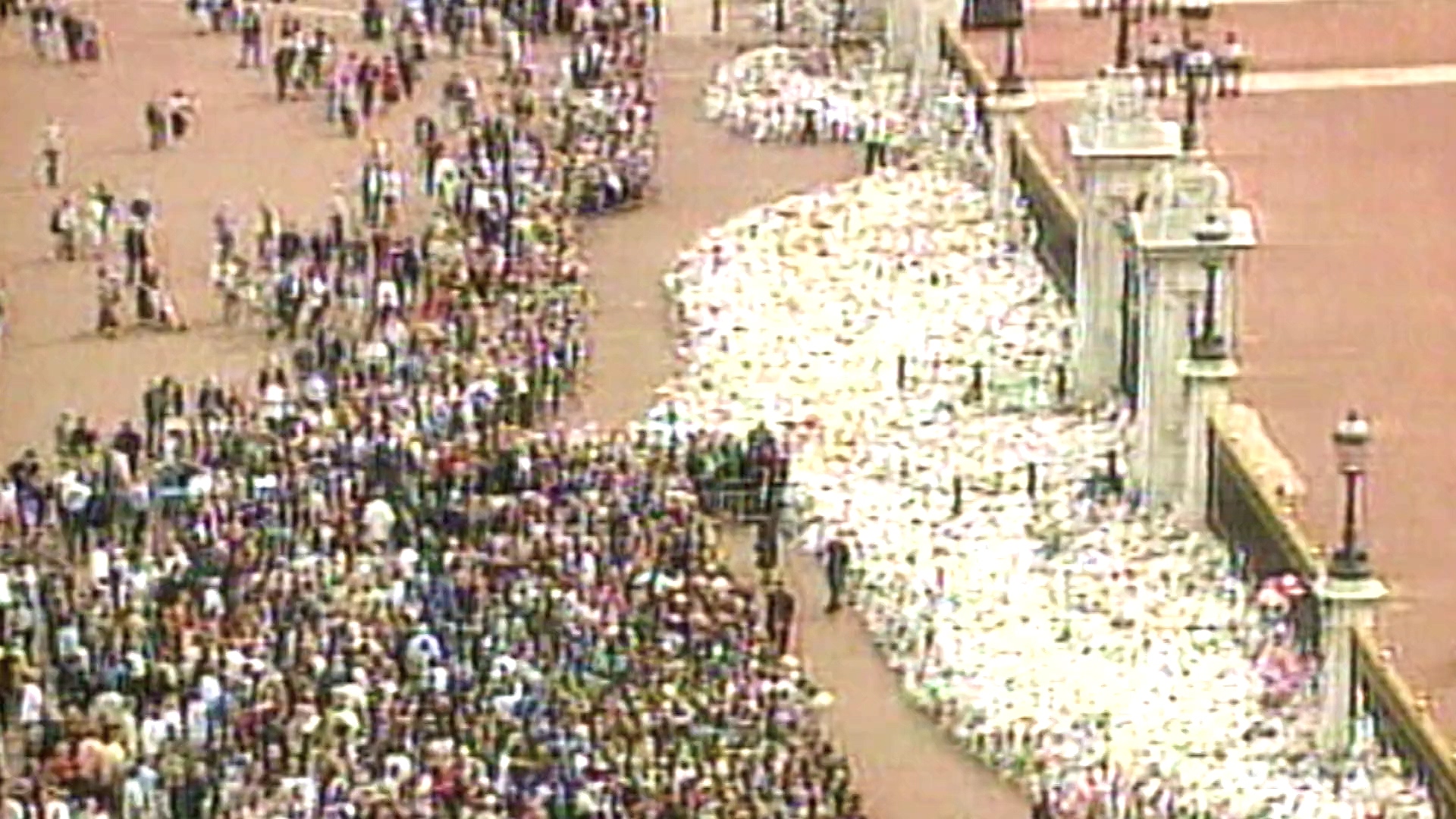 黛安娜：七日悲歌剧照的剧照