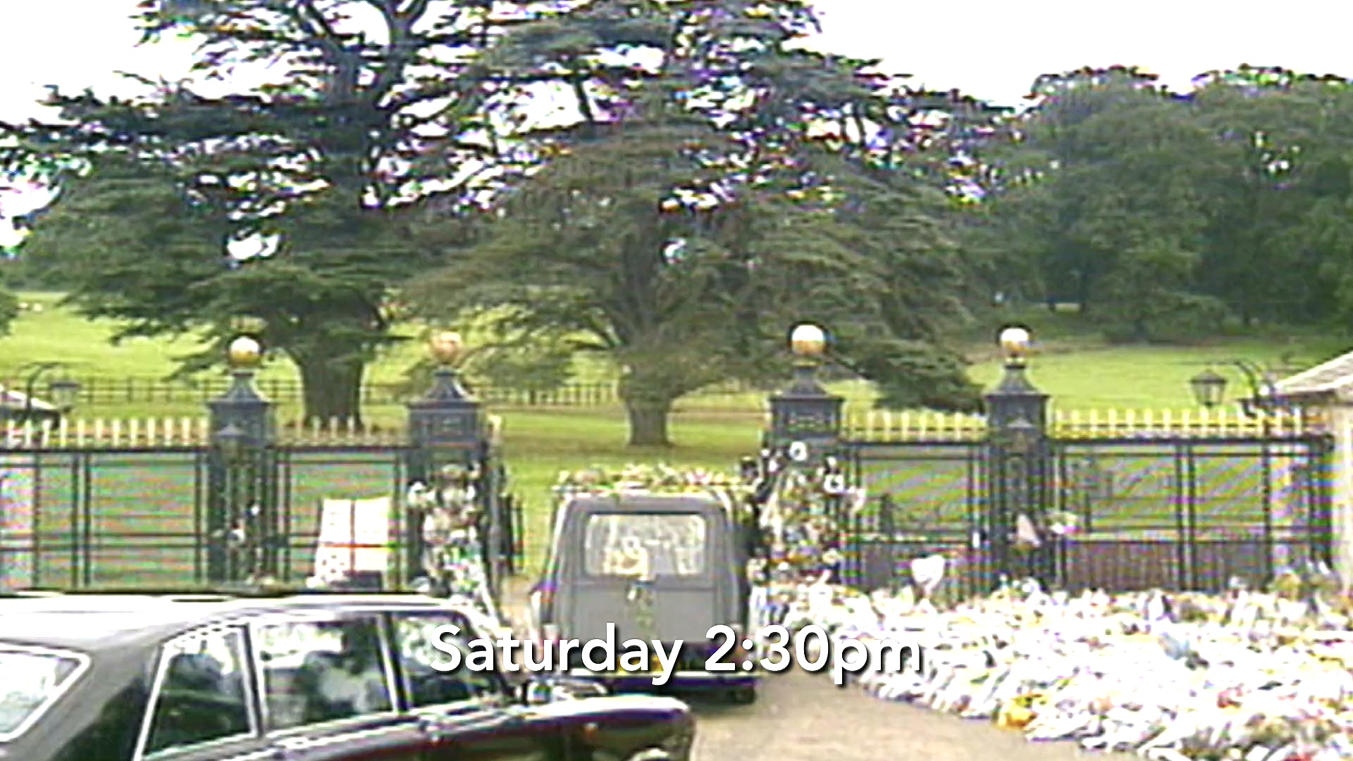 黛安娜：七日悲歌剧照的剧照