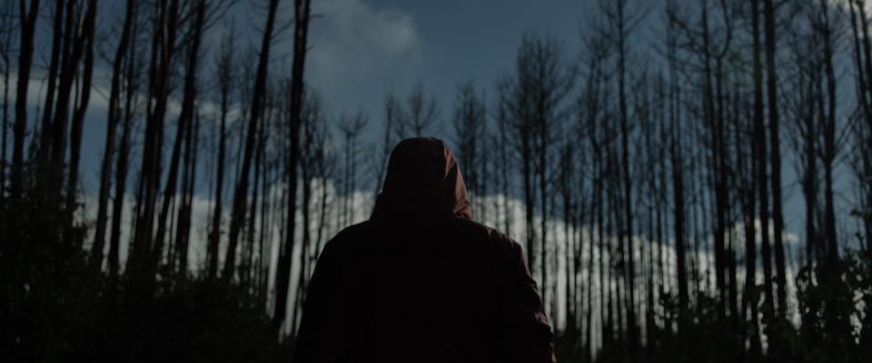 我最后一次见到理查德剧照的剧照