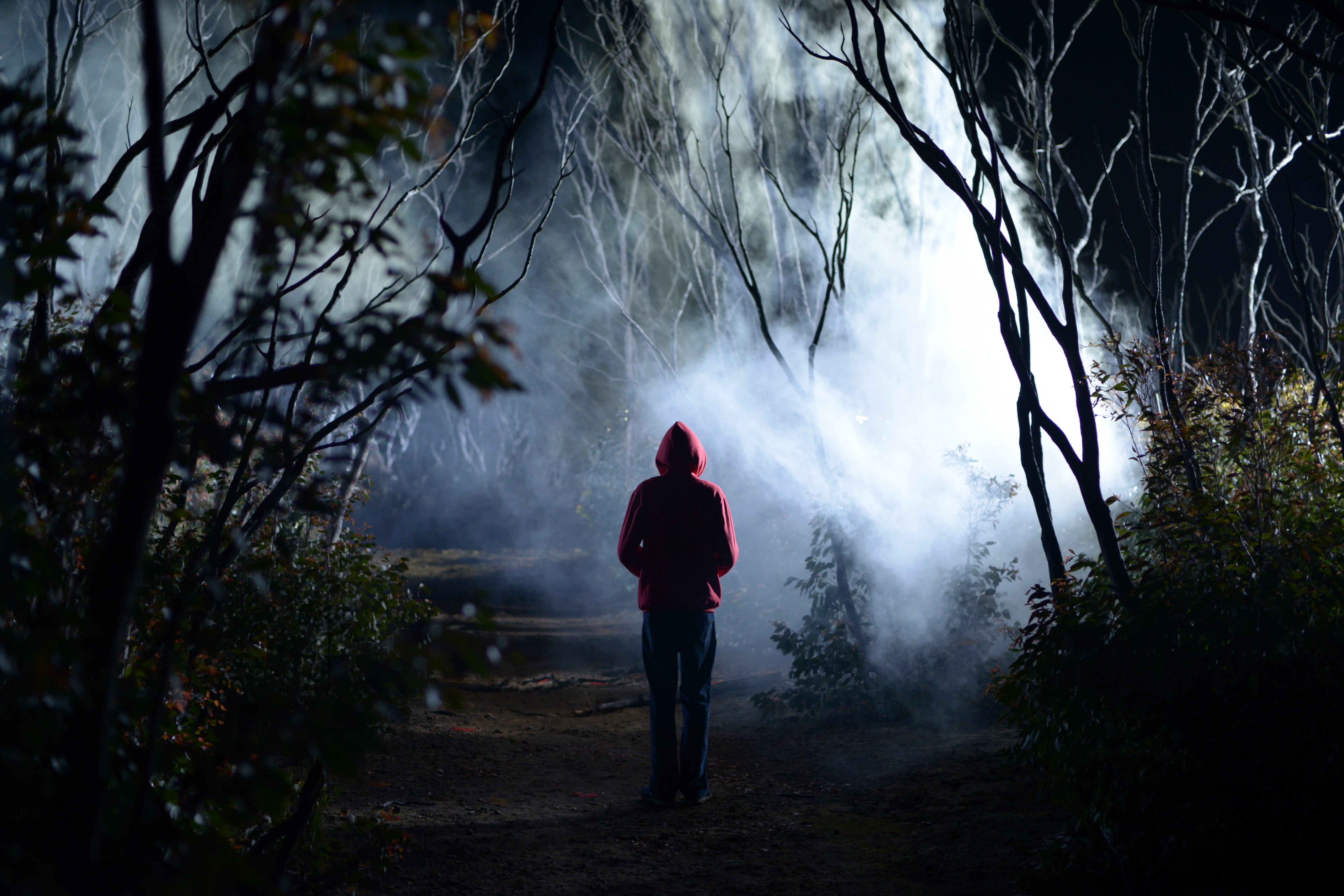 我最后一次见到理查德剧照的剧照