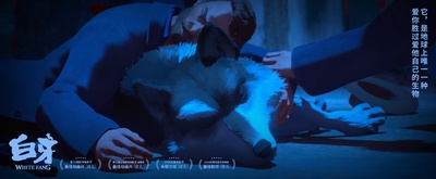 白牙剧照的剧照