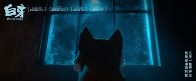 白牙剧照的剧照