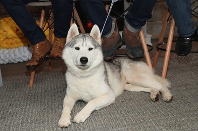 白牙剧照的剧照