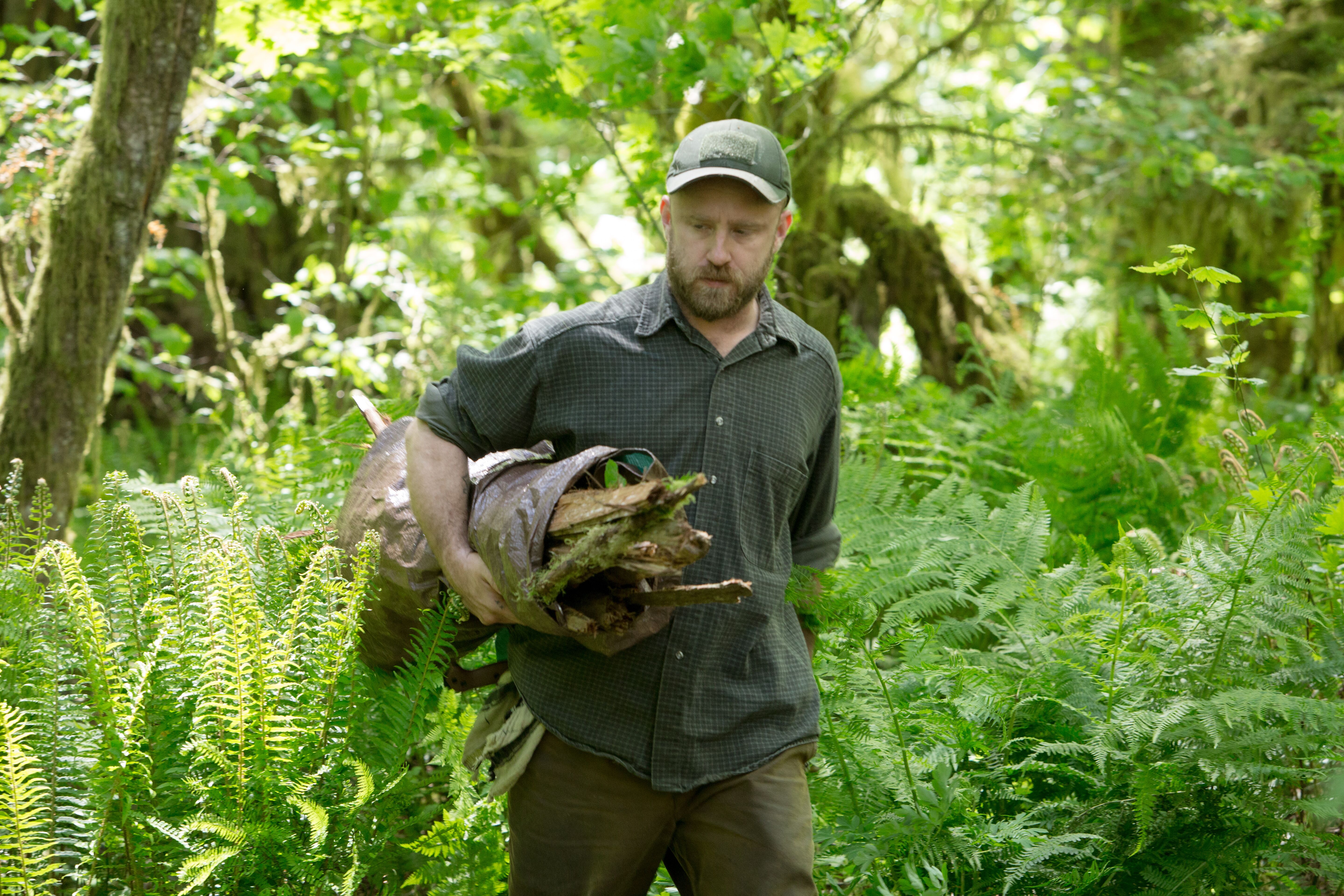 叶落无痕剧照的剧照