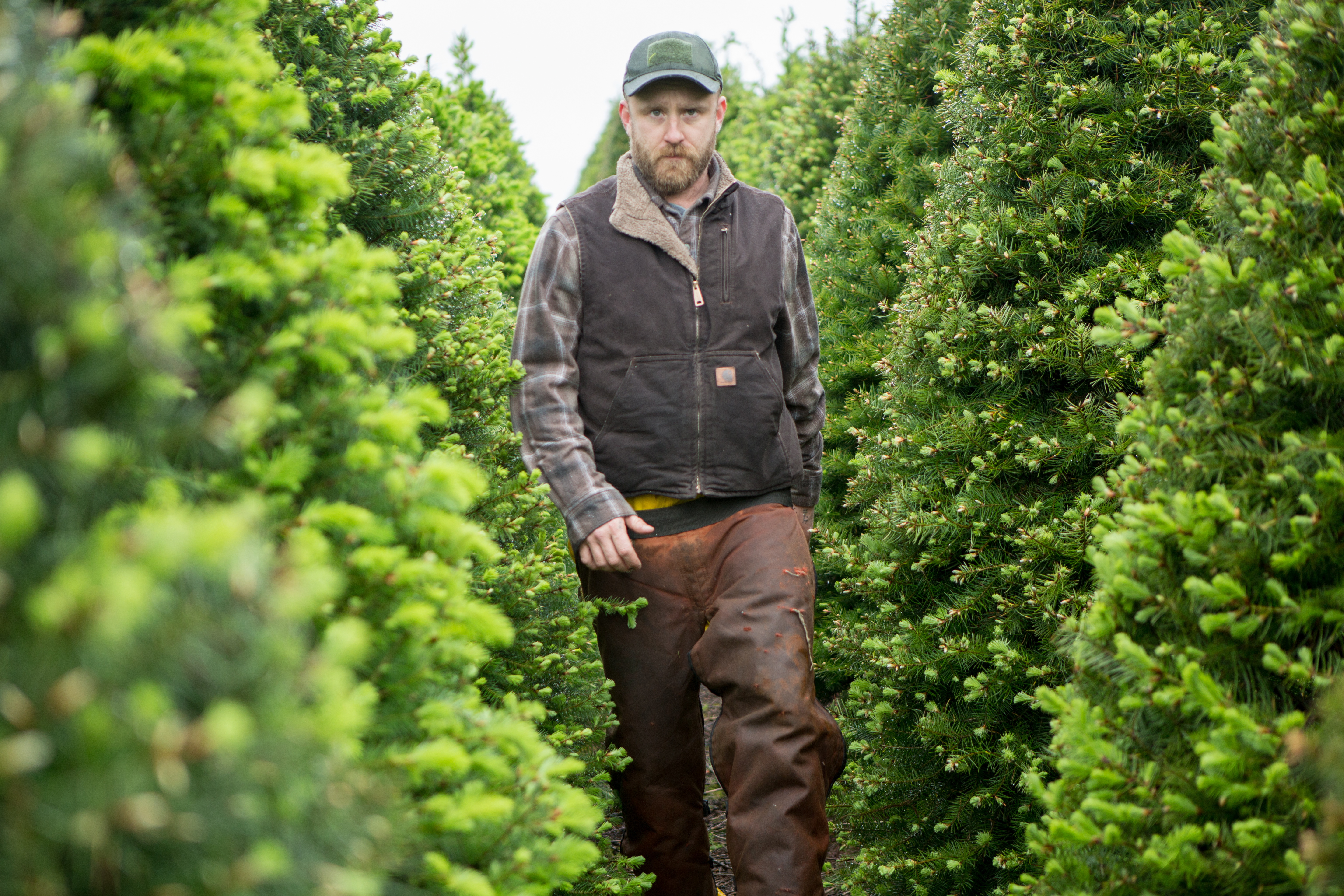 叶落无痕剧照的剧照