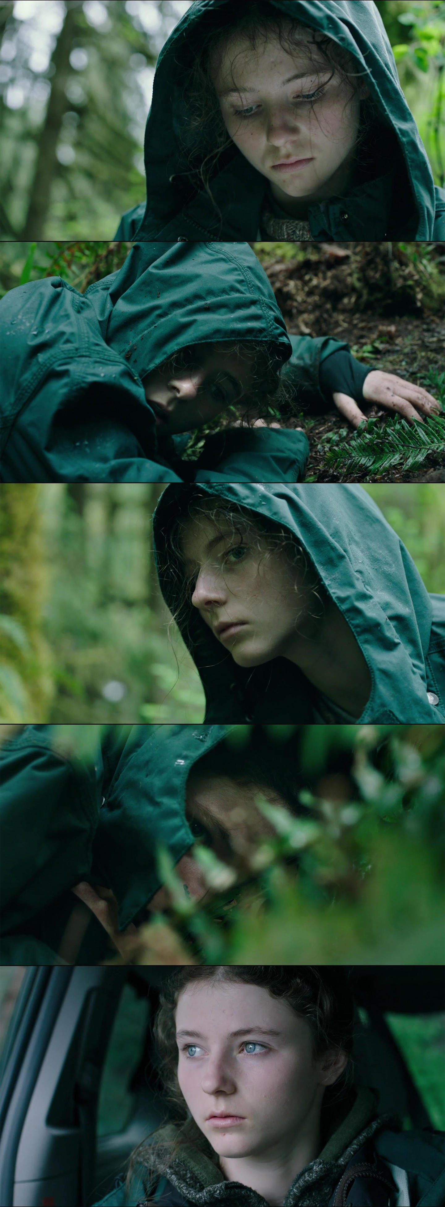 叶落无痕剧照的剧照