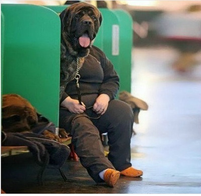 李可乐寻人记剧照的剧照