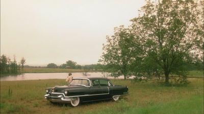 为黛西小姐开车剧照的剧照