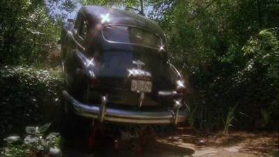 为黛西小姐开车剧照的剧照