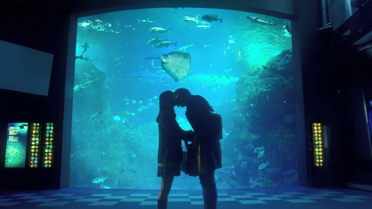 恋爱禁止的世界剧照的剧照