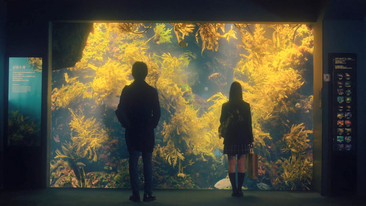 恋爱禁止的世界剧照的剧照