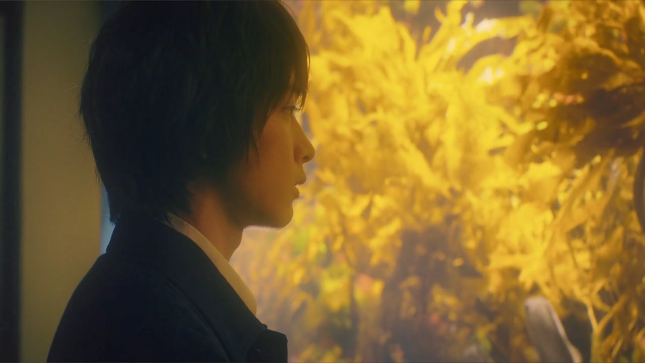 恋爱禁止的世界剧照的剧照